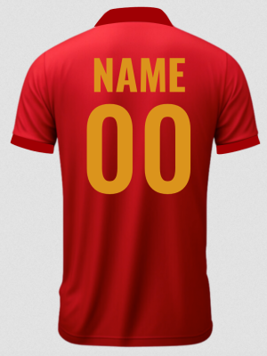 Customised Bangalore Travel Jersey